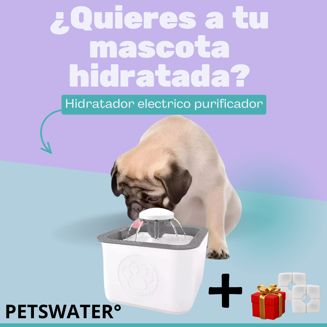 PETSWATER° | Fuente de agua para gatos y perros 2.5 LT + 2 Filtros de regalo🎁🎁