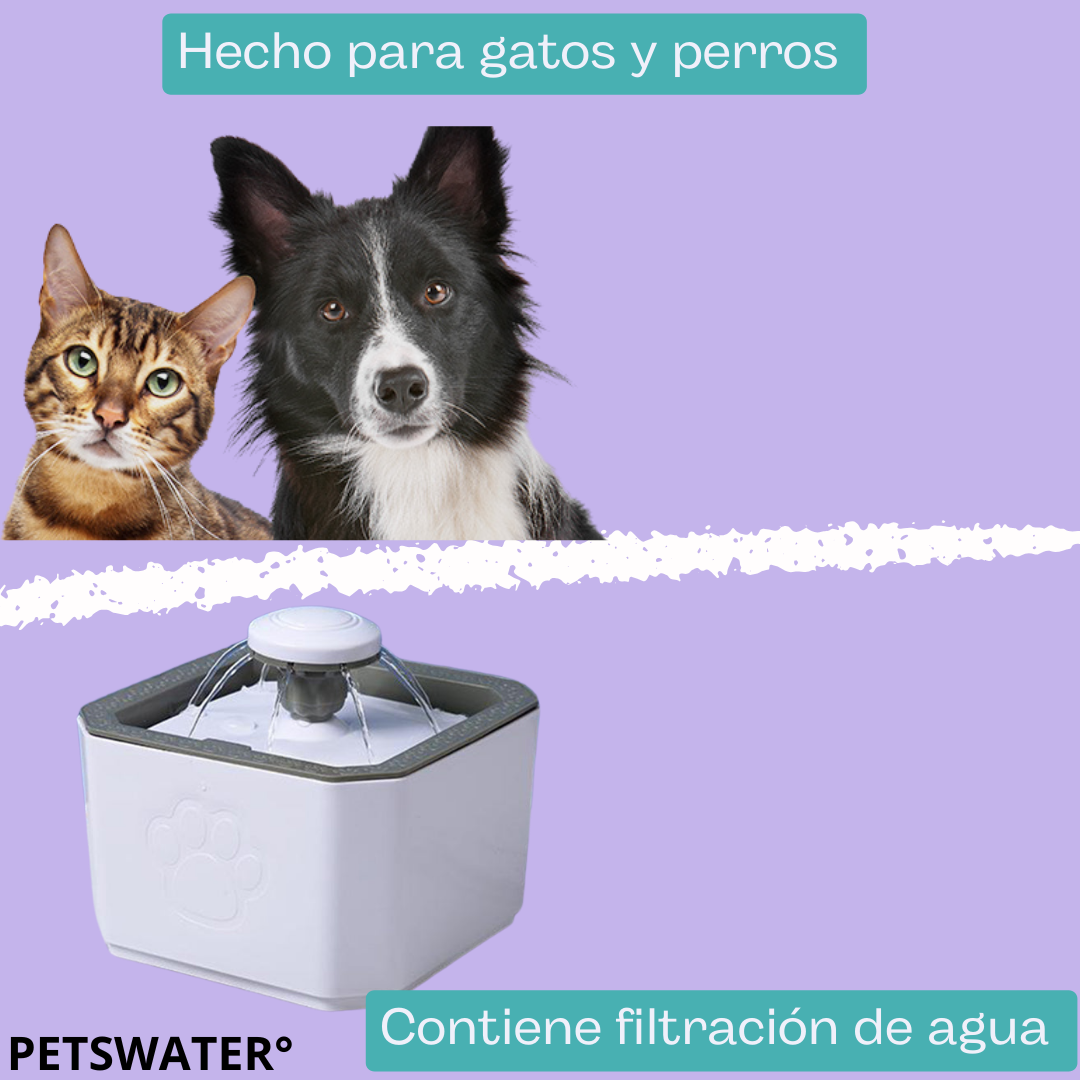 PETSWATER° | Fuente de agua para gatos y perros 2.5 LT + 2 Filtros de regalo🎁🎁