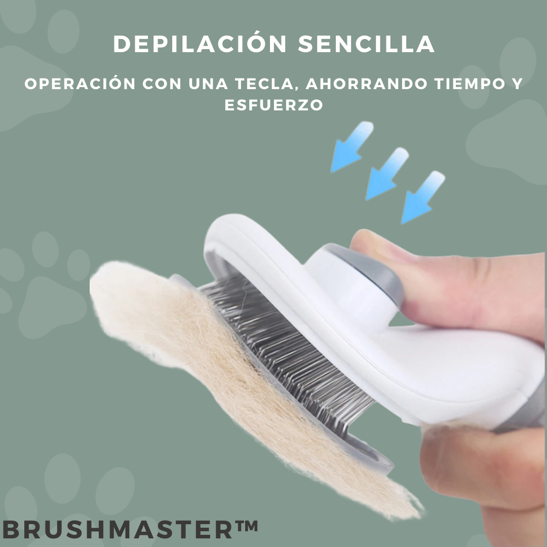 BRUSHMASTER™ | Cepillo con boton de limpieza