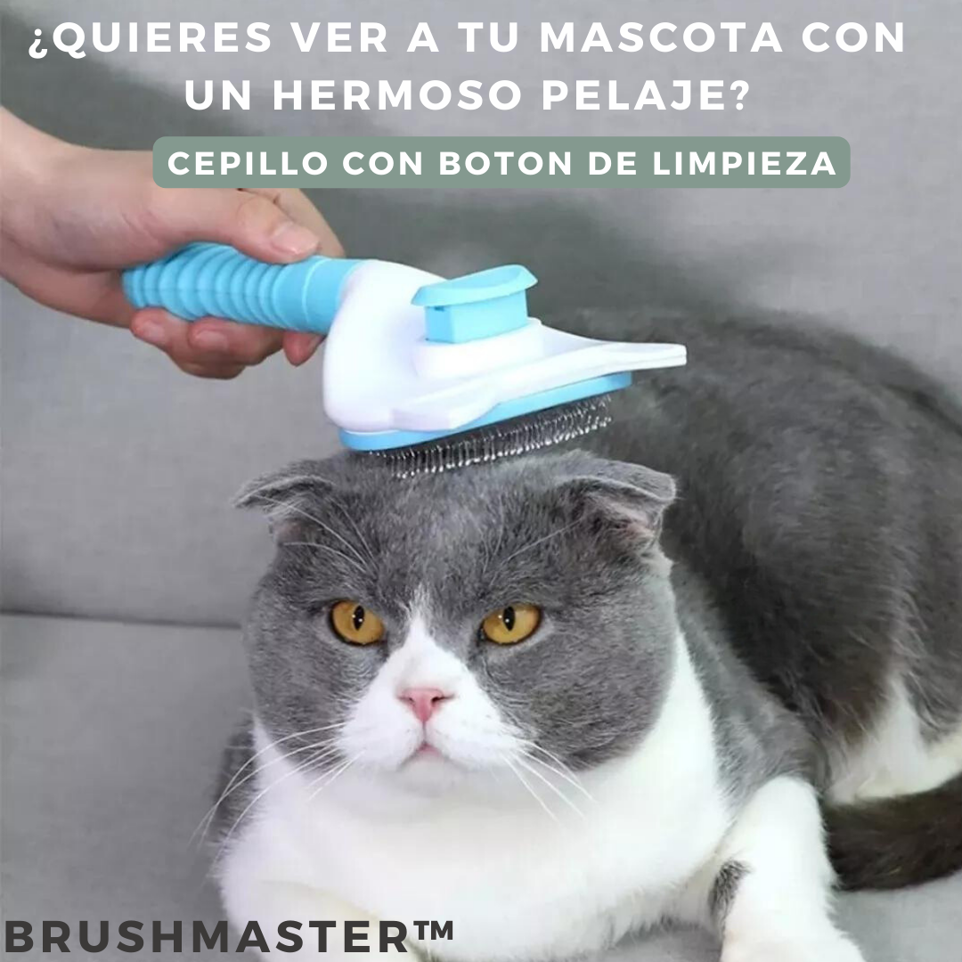 BRUSHMASTER™ | Cepillo con boton de limpieza