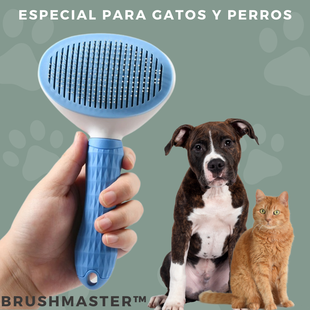 BRUSHMASTER™ | Cepillo con boton de limpieza